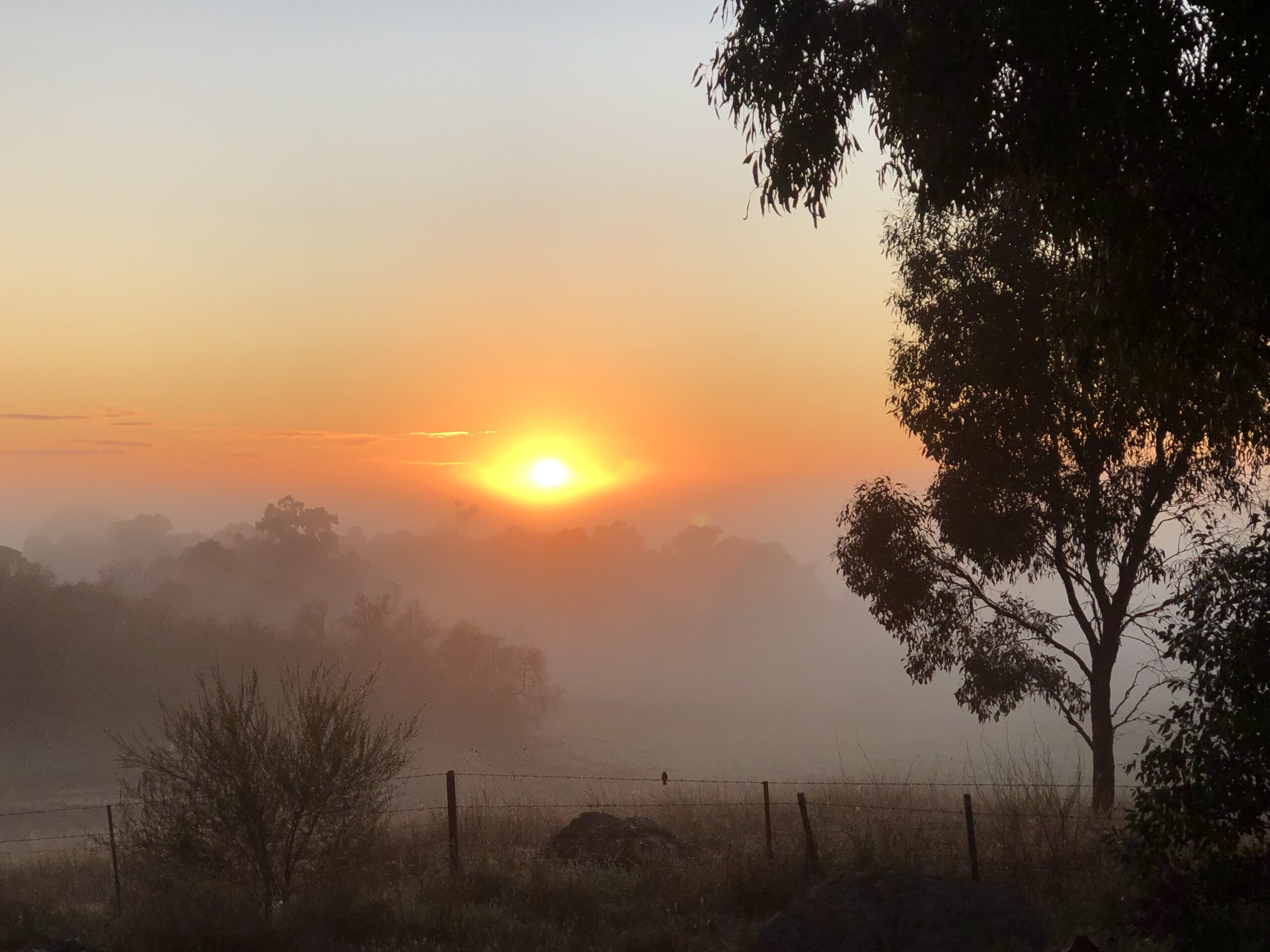 Winter morning in Cosgrove, Victoria, Australia.